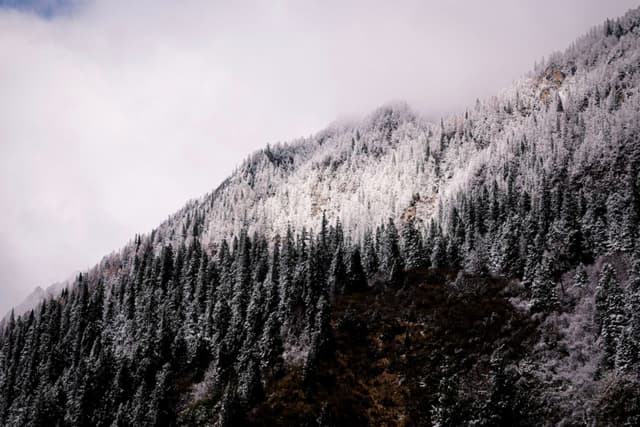 first snow